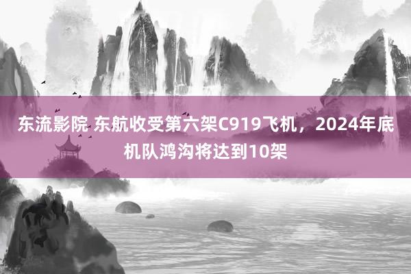 东流影院 东航收受第六架C919飞机，2024年底机队鸿沟将达到10架