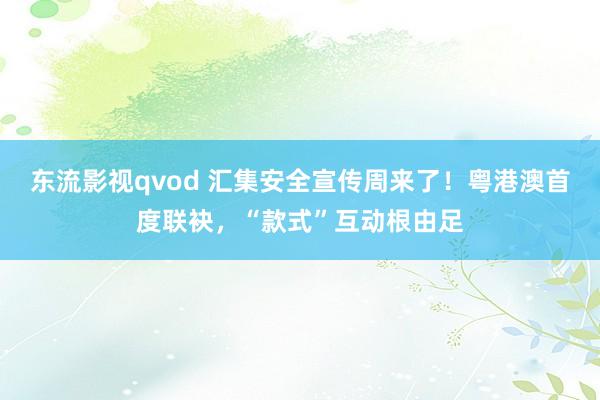 东流影视qvod 汇集安全宣传周来了！粤港澳首度联袂，“款式”互动根由足